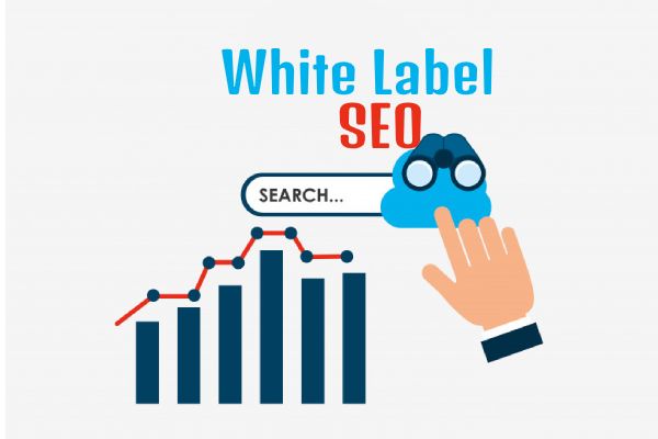 The Impact of Google’s 2025 Algorithm Updates on White Label SEO